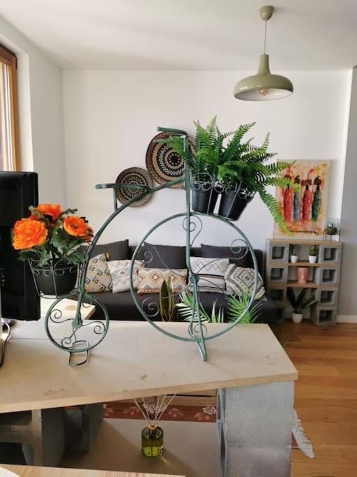 The Duplex Annecy Tgv; Vielle Ville Ngoại thất bức ảnh
