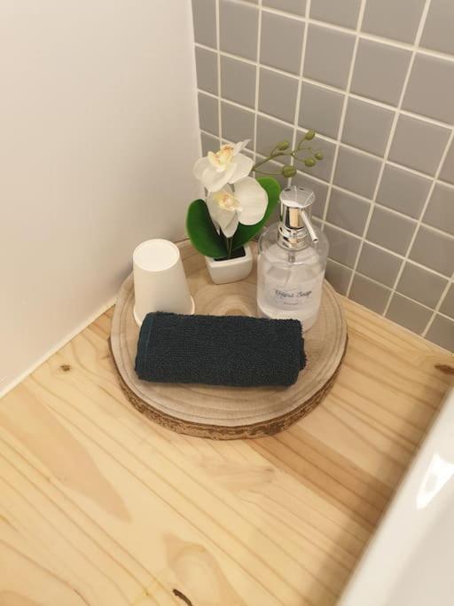 The Duplex Annecy Tgv; Vielle Ville Ngoại thất bức ảnh